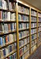 Spiritual Library The Spiritual S Library is a place filled with mystical and otherworldly that can transport you to a