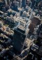 City drone Library The City Skyline Ambience in the Park is filled with the of lots of birds chirping and background