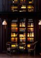 Cozy library corner with illuminated bookshelves, warm ambiance, and elegant seating, perfect for reading and relaxation.