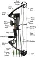 Compound Bow Library In the vast expanse of the Compound Bow's Library, a symphony of ancient warfare echoes through the