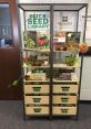 Seed Library The Seed S Library is a treasure trove of fascinating that capture the essence of nature's processes in