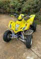 Quad bike Library The Quad Bike Motor Running On Idle Speed Onboard Perspective Looping captures the steady hum of the