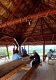 Vinales Library The ambiance of Vinales's countryside is alive with the of nature and farm life. In the distance, you can