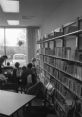 Children browse books in a library, surrounded by shelves filled with colorful materials and natural light streaming in.