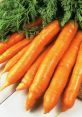 Carrots Library The first that can be heard at Carrots's Library is the delightful noise of someone eating baby carrots.