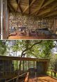 Dry Forest Library The ambiance of the Dry forest's library is filled with the melodious chirps of various birds, creating a