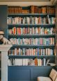 Arranging Library The library is filled with the delicate of plates being carefully arranged on shelves. The clinking and