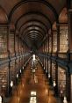 Stunning interior of a historic library with wooden arches and shelves filled with books, showcasing architectural beauty.