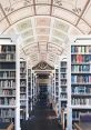 Campus Library As you enter the campus library, the first that greets you is the bustling chatter of students studying