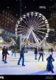 Rink Library The of the ice rink are a symphony of movement and energy, echoing off the walls of the library. The sharp,