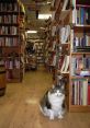 Domestic cat Library Cats have a wide range of vocalizations, from meows and purrs to hisses and growls. One of the most