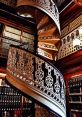 Public staircase Library The of the Public Staircase S Library are a cacophony of voices and movement, creating a