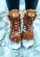 Snow boots SFX Library