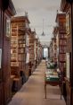 Tourist Library The Tourist's Library is a place of sanctuary, a vibrant of that capture the essence of travel and