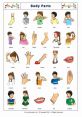 Colorful flashcards displaying various body parts for educational purposes, including arms, legs, and facial features.