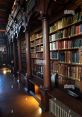 Internal Library The Internal S Library is a treasure trove of that can transport you to different scenes and