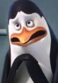 Kowalski from Madagascar, voiced by Jeff Bennett, with a worried expression and distinctive penguin features.