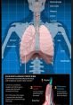 Human breathing Library The eerie of a respirator fills the air, reminding us of the fragility of human life. The