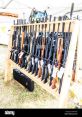 Pellet gun Library The Pellet gun S Library is a treasure trove of that will transport you to the heart of the action. From