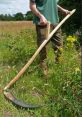 Scythe cut hay Library The of an antique scythe cutting through hay grass can transport you to a simpler time, when the