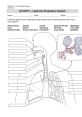 Labeling activity for the respiratory system, featuring major parts like bronchi, alveoli, and diaphragm for educational purposes.