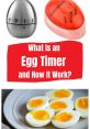 Egg timer Library The soft rhythm of a house clock ticking in the background provided a steady beat to the quiet