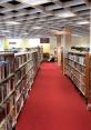 Lively Library The lively that fill the air in Lively S Library are a cacophony of bustling activity and learning. The