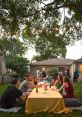 Backyard Evening Library The symphony of the evening begins with the gentle hum of insects buzzing as the sun dips below the