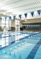 Gym pool Library The pool at the university gym in Toronto is a cacophony of . As you step out onto the balcony