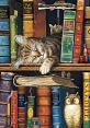 Sleepy Library The serene atmosphere of Sleepy's Library is often punctuated by the rhythmic cadence of human breathing. The