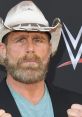 Shawn Michaels with a beard and cowboy hat, showcasing his signature style at a WWE event.