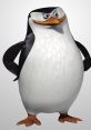 Skipper, the witty leader of the penguins in Madagascar, stands confidently with a clever expression.