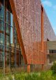 Modern library architecture featuring intricate perforated metal panels and large glass windows, surrounded by lush greenery.