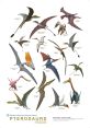 Pterodactyl Collection