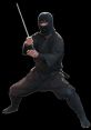 Ninja As a master of stealth and combat, a ninja moves through the shadows with precision and grace. The of a ninja