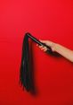 Black whip held against a vibrant red background, showcasing its sleek design and tassel detailing for dynamic flair.