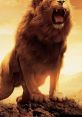 Roaring The deep and powerful of a Roaring Lion immerses you in the heart of the jungle, evoking a sense of both fear and