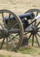 Historic cannon on wooden wheels, showcased in a grassy field, representing artillery's role in military history.