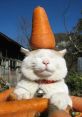 A cat with a carrot balancing on its head, surrounded by carrots, showcasing playful and quirky pet humor.