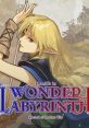 Record of Lodoss War: Deedlit in Wonder Labyrinth ロードス島戦記ーディードリット・イン・ワンダーラビリンスー - Video Game 