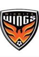 Wichita Wings Cuts played during Wichita Wings games