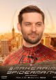 Peter Parker_Spider-Man (Tobey Maguire, Sam Raimi Spider-Man PC game) Type your text to hear it in the voice of Peter