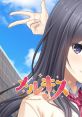 Mell Kiss メルキス - Video Game Video game from Mell Kiss メルキス for Switch. Published by Entergram (2021). Uploaded by