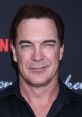 Patrick Warburton (Actor) Type your text and hear it in the voice of Patrick Warburton (Actor).