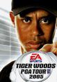 Tiger Woods PGA Tour 2005 - Video Game Music