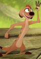 Timon (Disney Junior's The Lion Guard) Type your text to hear it in the voice of Timon (Disney Junior's The Lion Guard).