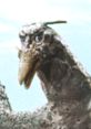 Showa Rodan All are taken from the Toku Society YouTube channel.