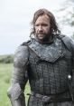 The Hound (Sandor Clegane) Sandor Clegane, nicknamed the Hound, is a fictional character in the A Song of Ice and Fire