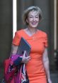 Andrea Leadsom Leadsom left Cabinet in the 2020 cabinet reshuffle and remains in the House of Commons as a backbencher.