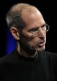 Steve Jobs He was the co-founder, chairman, and CEO of Apple the chairman and majority shareholder of Pixar. He was a member